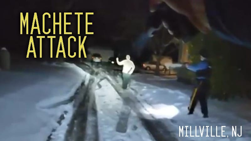 NYPD – Machete Attack
