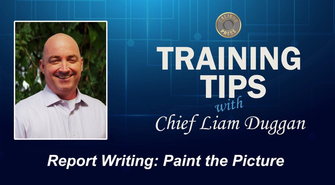 Report Writing: Paint the Picture