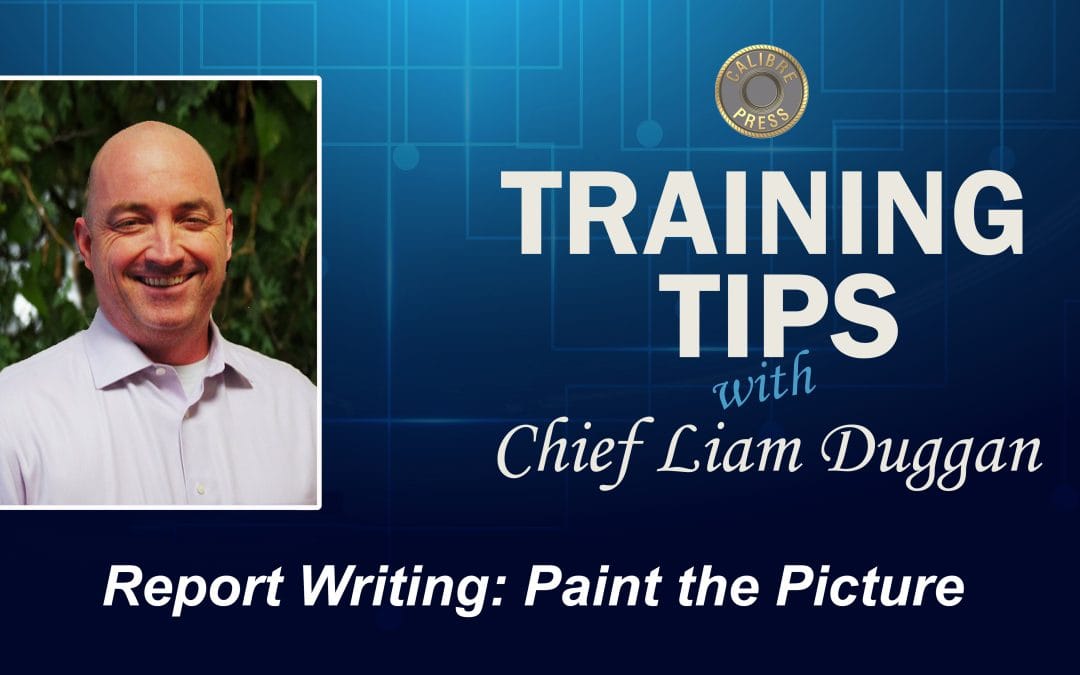 Report Writing: Paint the Picture